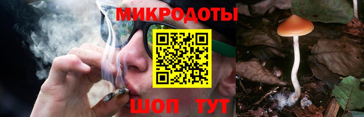 где можно купить наркотик  Вход с VPN  Заинск  Псилоцибиновые грибы прущие грибы 